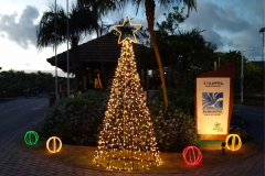 ÁRVORE COM CORDÕES DE LEDS