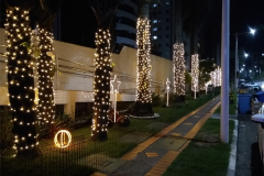 CORDOES-DE-LEDS-PROFISSIONAIS